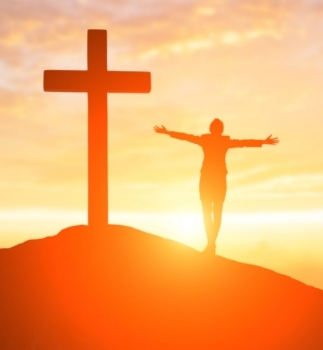 Image link